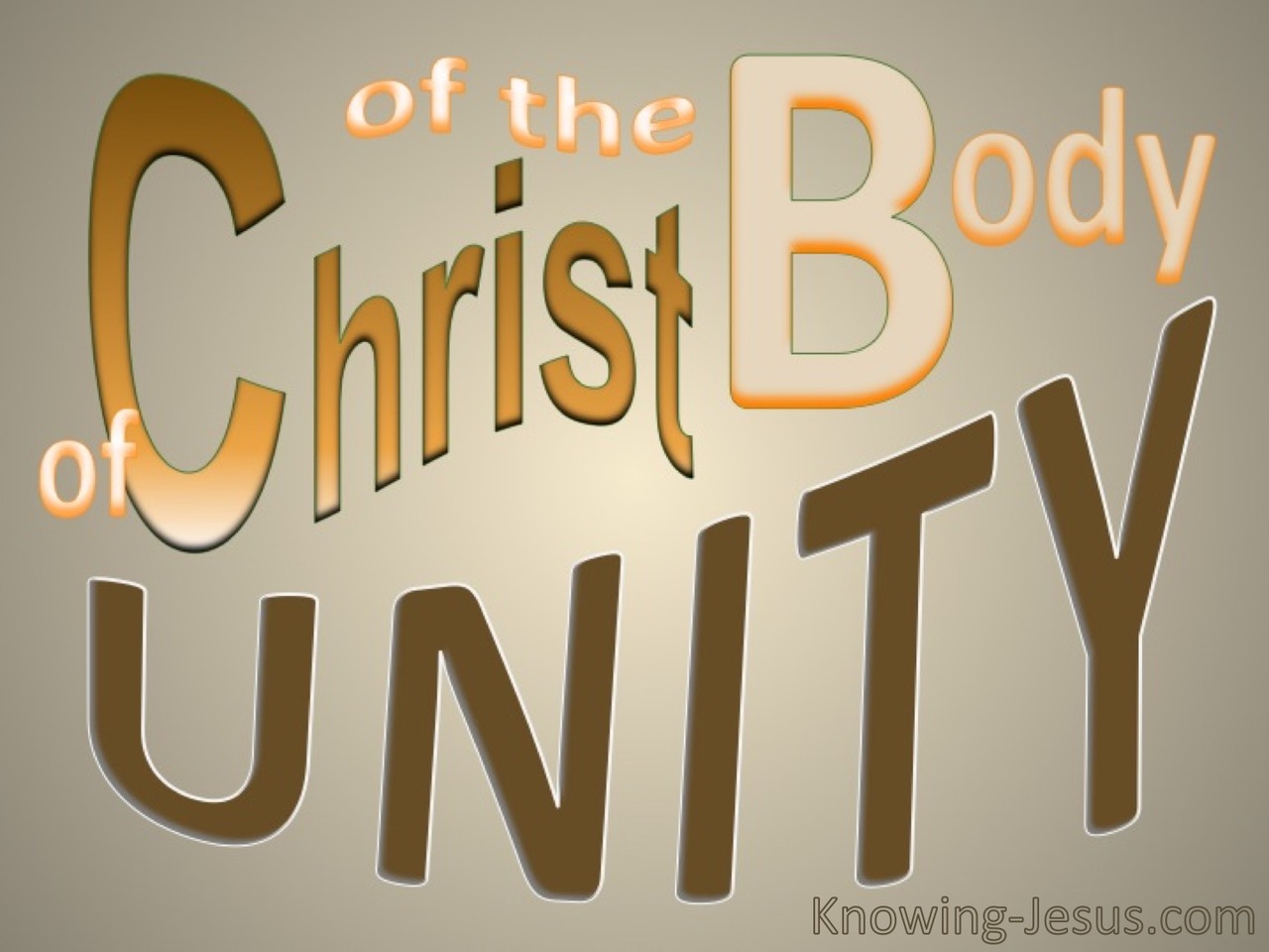 Unity Of The Body Of Christ (pink) Ephesians 4-12 